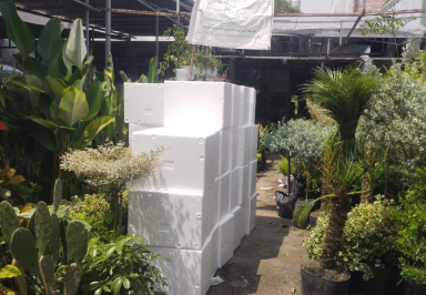 CHUYÊN CUNG CẤP THÙNG XỐP GIỮ NHIỆT Ở LONG AN