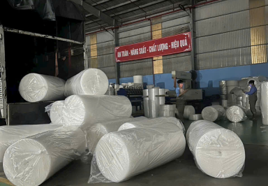 PHÂN BIỆT 6 LOẠI MỐP XỐP PHỔ BIẾN TRÊN THỊ TRƯỜNG
