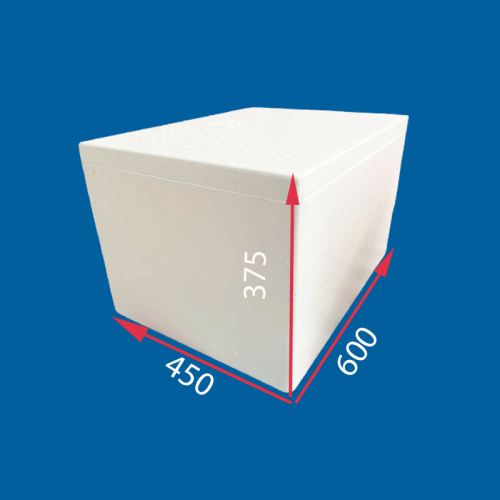 Thùng Xốp TA4.1 600 x 450 x 375 | 550 x 400 x 320            