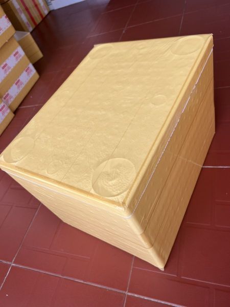 Thùng xốp chuyên dùng đóng hàng vận chuyển quốc tế